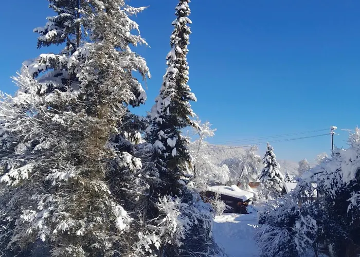 Han/Misafirhane Gaestehaus Zunterer Wallgau